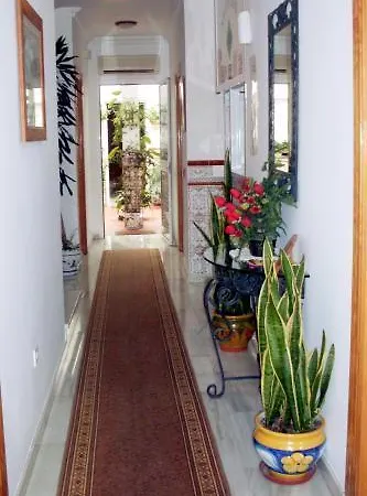 בית הארחה Andalucia נרחה