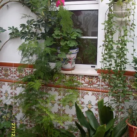 Andalucia * נרחה